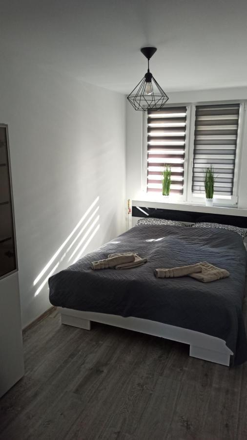 Apartment Zdrojowy